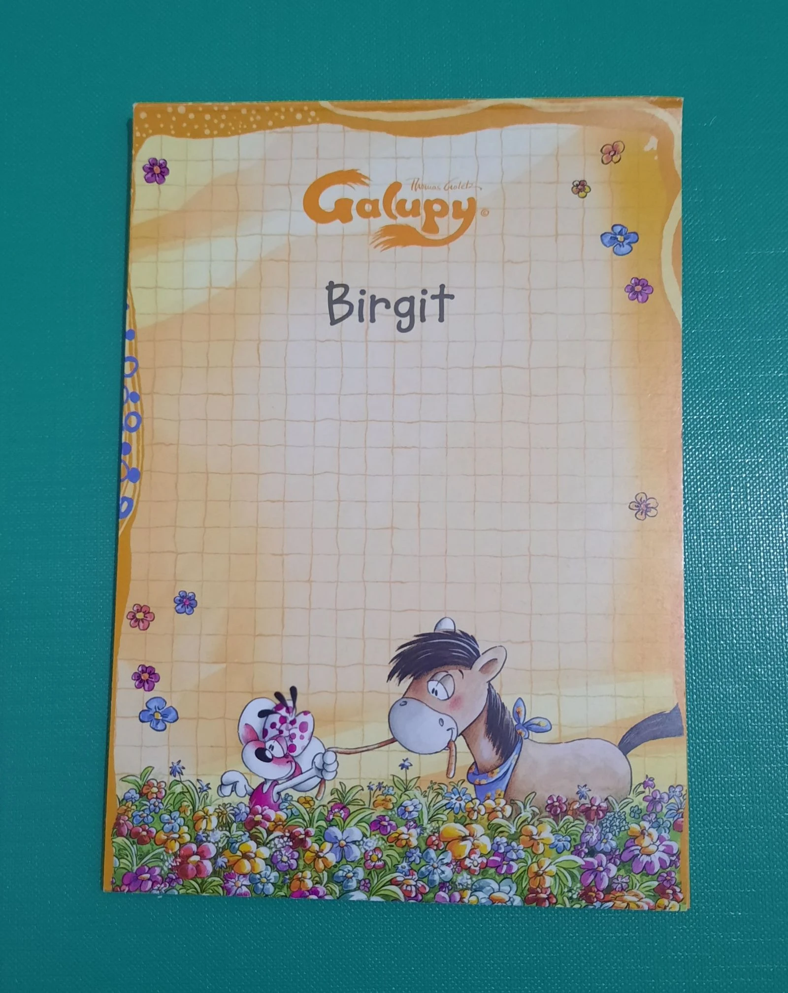 Bloc Diddl A6 : Galupy N°13